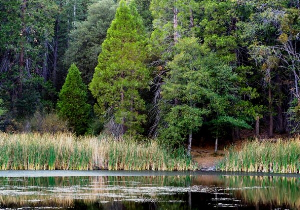 palomar state mark lake